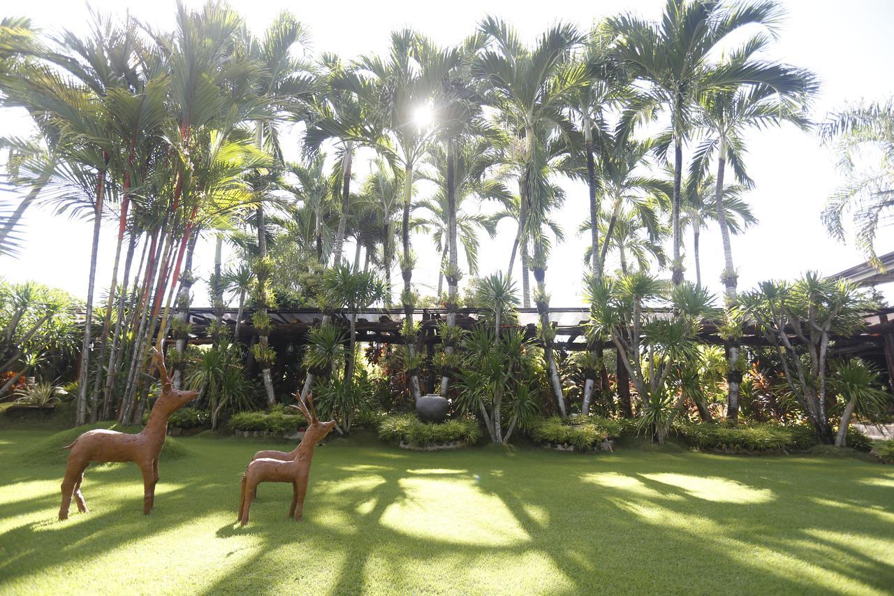Victoria'S Haven Bed & Breakfast Dumaguete City Bagian luar foto